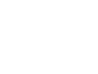 Duncan Shotton Design Studio logo